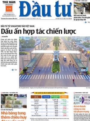 Báo Đầu tư số 43