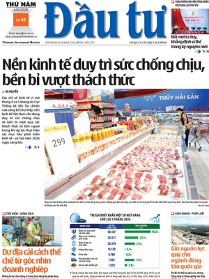 Báo Đầu tư số 45