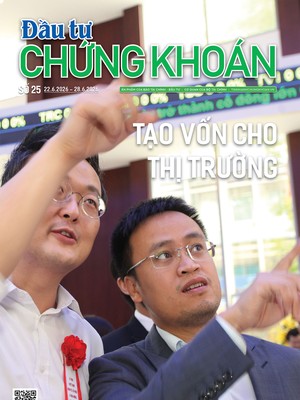 Báo Đầu tư Chứng khoán số 25
