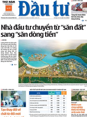 Báo Đầu tư số 51