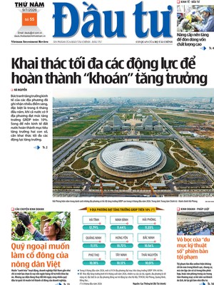 Báo Đầu tư số 55