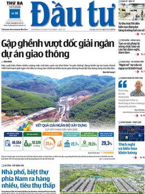 Báo Đầu tư số 56