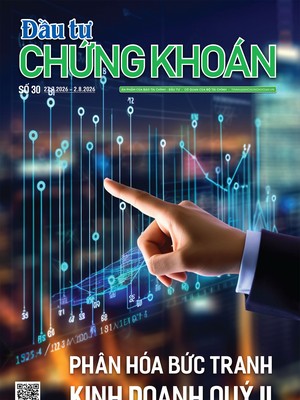 Báo Đầu tư Chứng khoán số 30