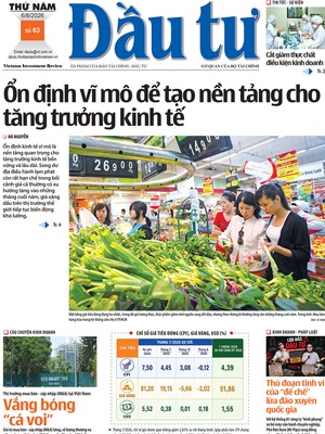 Báo Đầu tư số 63