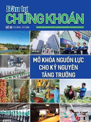 Báo Đầu tư Chứng khoán số 38