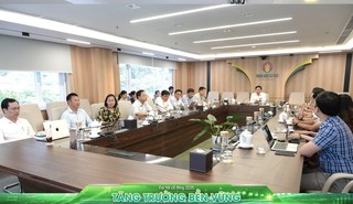 PVCFC (DCM) tăng tốc chuyển đổi số, xây nền quản trị hiện đại bằng dữ liệu và quản trị rủi ro