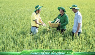 PVFCCo - Phú Mỹ (DPM) đặt kế hoạch vận hành ở công suất cao và lợi nhuận sau thuế 680 tỷ đồng