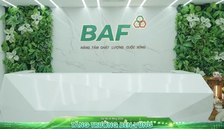BAF đệ trình phương án chi trả cổ tức và phát hành cổ phiếu thưởng với tỷ lệ 20% 