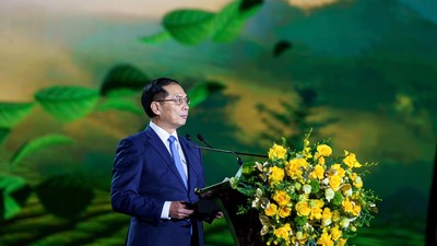 Phó Thủ tướng Chính phủ Bùi Thanh Sơn phát biểu chỉ đạo tại Lễ khai mạc