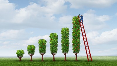 Góc nhìn kỹ thuật phiên giao dịch chứng khoán ngày 14/11: Hướng tới vùng 1.650 điểm