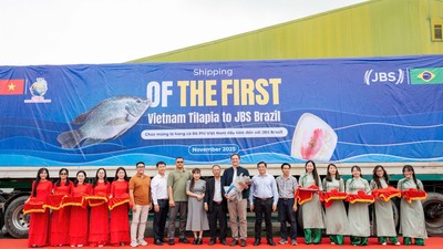 Nam Việt (ANV) xuất khẩu lô hàng đầu tiên sang Brazil - Bước tiến chiến lược của thủy sản Việt Nam