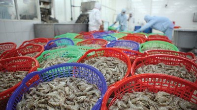 Cá tra, tôm và cá ngừ là 3 nhóm sản phẩm có lợi thế khi EU gỡ thẻ vàng.