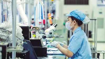 Khu vực FDI đã khẳng định vai trò “đầu kéo” trong thương mại hàng hóa của Việt Nam. Ảnh: Đức Thanh 