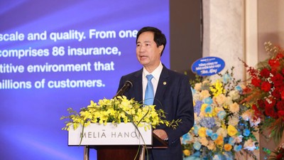 Ông Nguyễn Xuân Việt, Chủ tịch IAV 