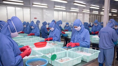 Cổ phiếu cần quan tâm ngày 5/11