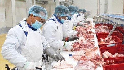 BaF Việt Nam (BAF) sắp phát hành 1.000 tỷ đồng trái phiếu “3 không”