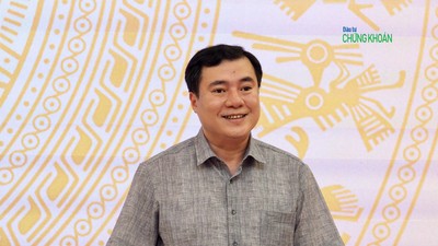 Thứ trưởng Bộ Công Thương Nguyễn Sinh Nhật Tân trả lời tại họp báo Chính phủ chiều 8/11