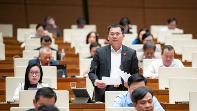 Đại biểu Dương Khắc Mai (đoàn Lâm Đồng)