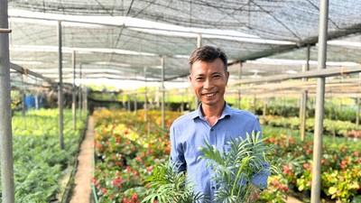 Nông dân Phúc Thọ biến khu vườn nhà thành điểm đến du lịch nông thôn