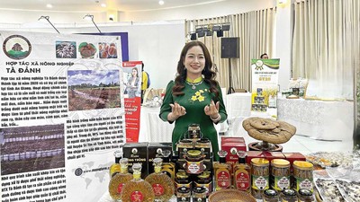Châu Thị Nương, Giám đốc HTX Nông nghiệp Tà Đảnh