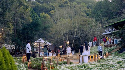 Lâm Đồng sẽ thanh, kiểm tra hoạt động “tour giá rẻ”