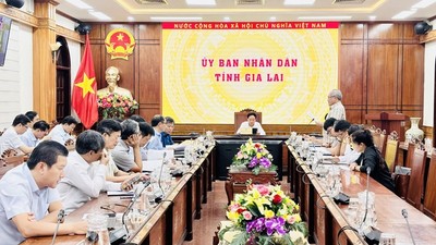 Ông Phạm Anh Tuấn, Chủ tịch UBND tỉnh Gia Lai chủ trì đối thoại với một số doanh nghiệp trên địa bàn tỉnh nhằm tháo gỡ khó khăn, thúc đẩy môi trường đầu tư kinh doanh vào ngày 24/10/2025. Ảnh: Hoàng Thảo.
