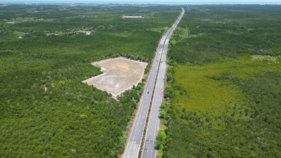 Tuyến metro nối trung tâm TP.HCM đến Cần Giờ dự kiến sẽ chạy dọc theo tuyến đường Rừng Sác hiện nay - Ảnh: Lê Toàn