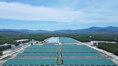 Dự án Trại heo giống công nghệ cao Thagrico Bình Định của Thaco Argi đang tiếp tục được mở rộng (Ảnh: Thaco argi)