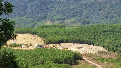 Dự thảo Bảng giá tính thuế tài nguyên trên địa bàn TP.Đà Nẵng được áp dụng đối với các nhóm khoáng sản kim loại, khoáng sản không kim loại, sản phẩm rừng tự nhiên... Ảnh: Linh Đan 