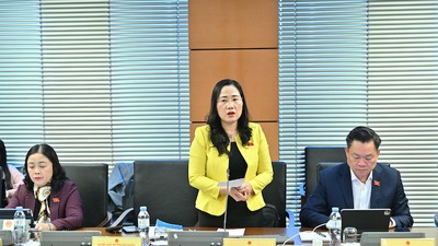 Đại biểu Nguyễn Thị Thủy phát biểu tại tổ. Ảnh: PT. 