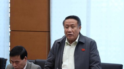 Đại biểu Hà Sỹ Đồng (Quảng Trị) phát biểu tại tổ. 