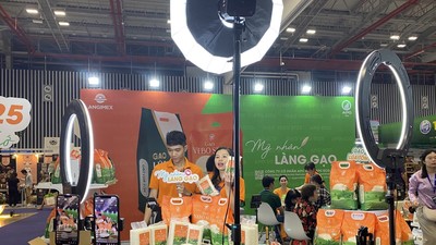 Doanh nghiệp Việt đang đẩy mạnh đầu tư cho nền tảng thương mại điện tử xuyên biên giới.