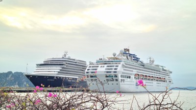 Hai siêu du thuyền hạng sang Westerdam (quốc tịch Hà Lan) và Star Voyager (quốc tịch Bahamas) cập Cảng tàu khách quốc tế Hạ Long.