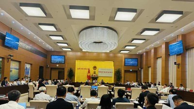 Toàn cảnh phiên thẩm tra. 