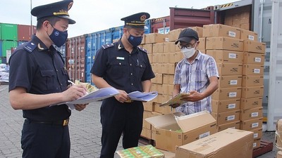 TP.HCM sẽ tập trung thanh kiểm tra chuyên ngành lĩnh vực dễ phát sinh tiêu cực