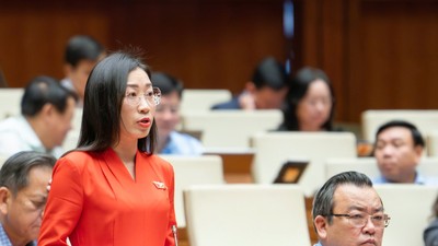 Đại biểu Hoàng Thị Thanh Thúy (Tây Ninh).