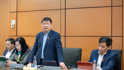 Đại biểu Tạ Văn Hạ phát biểu tại tổ - Ảnh: PT. 