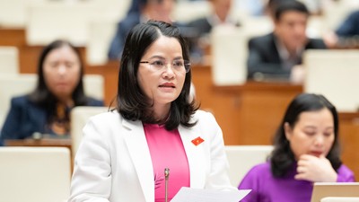 Đại biểu Nguyễn Hoàng Bảo Trân (TP. Hồ Chí Minh)