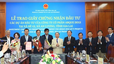 Gia Lai vượt chỉ tiêu thu hút số dự án đầu tư trong năm 2025 