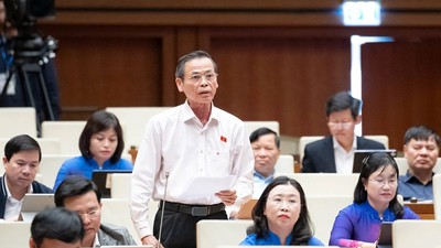 Đại biểu Trần Hữu Hậu (Tây Ninh) phát biểu tại hội trường. 