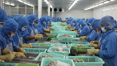 Xuất khẩu 11 tháng năm 2025 tăng 14,6% so với cùng kỳ, đưa nhiều doanh nghiệp thuỷ sản băng băng về đích