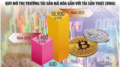 Khoác “áo giáp” phòng thủ cho tài sản mã hóa 