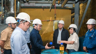 Lọc hóa dầu Bình Sơn (BSR) đẩy nhanh tiến độ nghiên cứu nhiên liệu dầu diesel sinh học