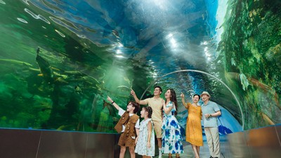 Thuỷ cung tại Công viên Thiên Đường Bảo Sơn luôn rất cuốn hút với du khách.