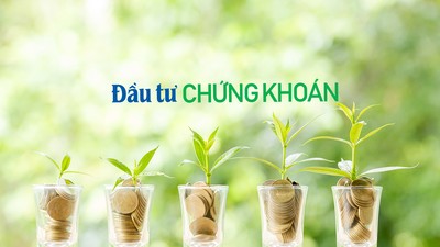 Ảnh: Shutterstock.