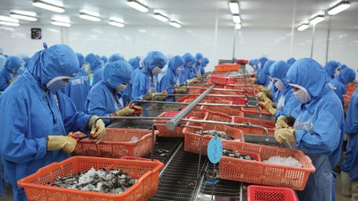 Biến số của ngành thủy sản xuất khẩu