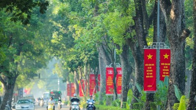 Dragon Capital: VN-Index lập đỉnh, dòng tiền trong nước trở thành trụ cột dài hạn