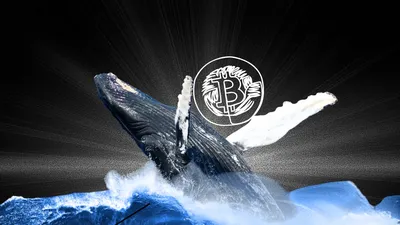 Quý I/2026, nhóm các nhà đầu tư "cá voi" Bitcoin cắt lỗ hơn 30 tỷ USD