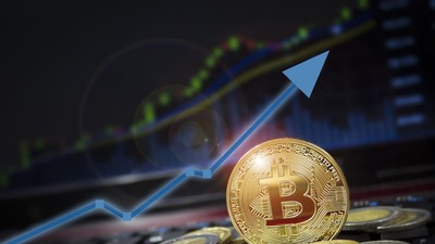 Bitwise dự báo dòng vốn hàng nghìn tỷ USD có thể đổ vào Bitcoin trong hơn 10 năm nữa
