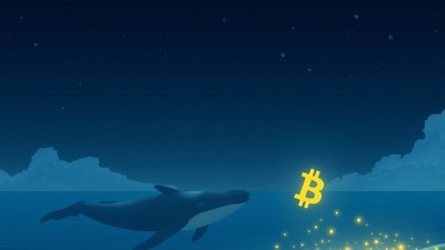 Bitcoin chạm mốc 70.000 USD và sự trở lại của nhà đầu tư "cá voi"